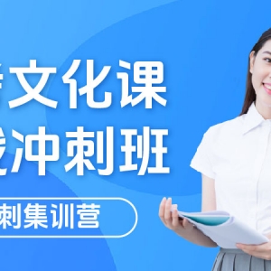 晉城藝術生文化課補習